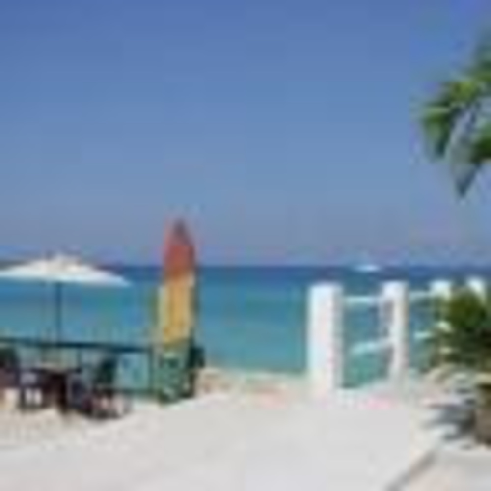 Meet your Posher, Jane